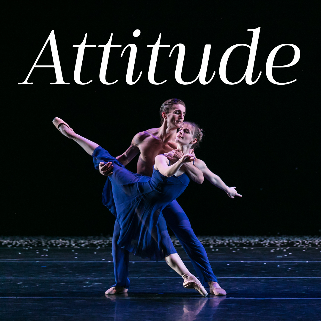 Attitude