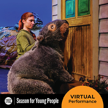 Diary of a Wombat